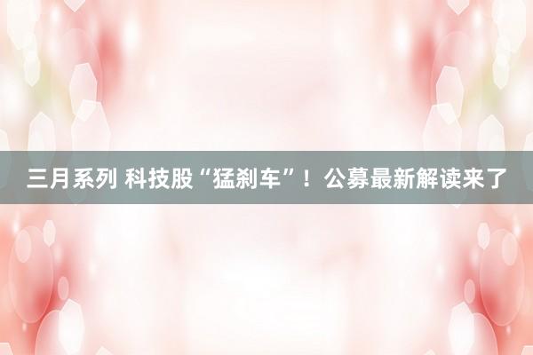三月系列 科技股“猛刹车”！公募最新解读来了