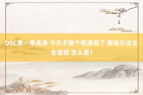 DSC第一季高清 今天不错个税退税了 哪些东谈主会退税 怎么退？