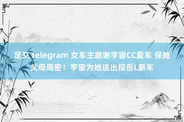 足交 telegram 女车主跪谢宇宙CC爱车 保她父母周密！宇宙为她送出探岳L新车