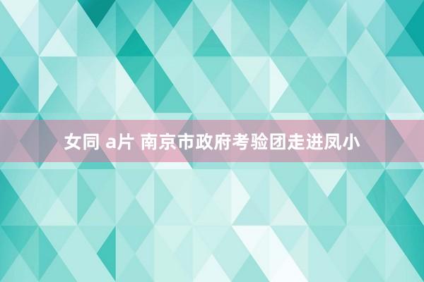 女同 a片 南京市政府考验团走进凤小
