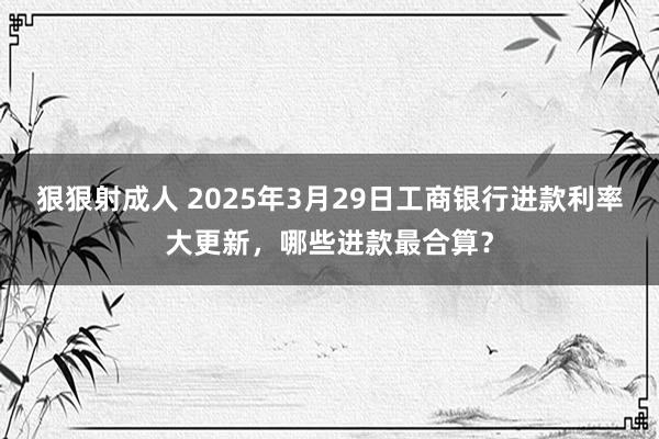 狠狠射成人 2025年3月29日工商银行进款利率大更新，哪些进款最合算？