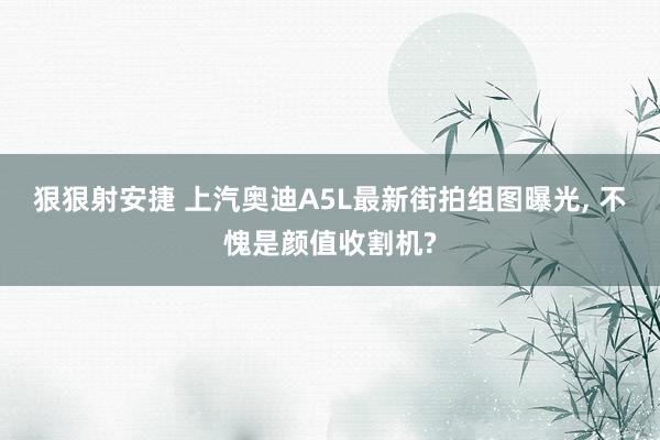 狠狠射安捷 上汽奥迪A5L最新街拍组图曝光， 不愧是颜值收割机?