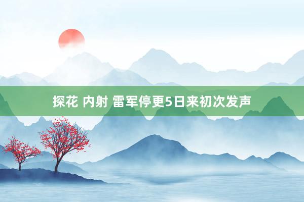 探花 内射 雷军停更5日来初次发声