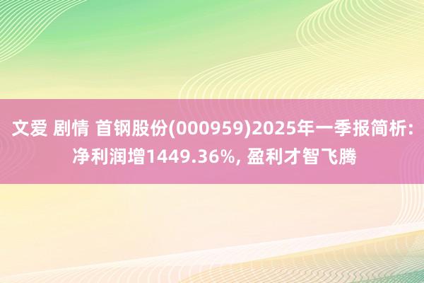 文爱 剧情 首钢股份(000959)2025年一季报简析: 净利润增1449.36%， 盈利才智飞腾