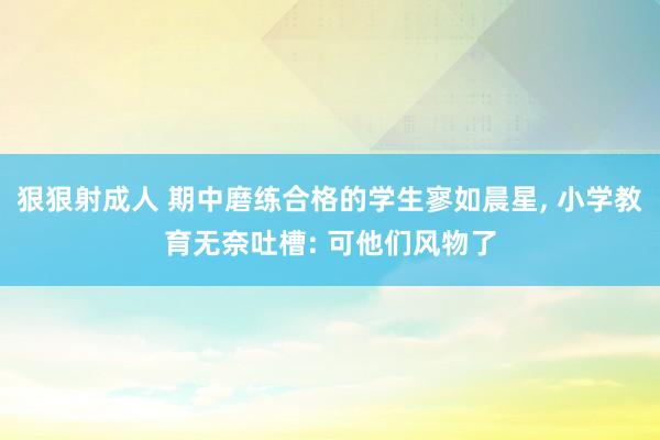 狠狠射成人 期中磨练合格的学生寥如晨星， 小学教育无奈吐槽: 可他们风物了