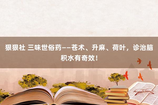 狠狠社 三味世俗药——苍术、升麻、荷叶，诊治脑积水有奇效！